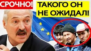 Лукашенко посадил собаку на стол